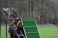 kliknutím zvětšit fotografii fotky ZKO