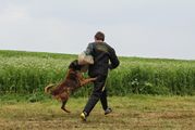 kliknutím zvětšit fotografii fotky ZKO