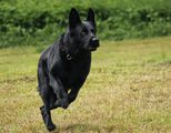 kliknutím zvětšit fotografii fotky ZKO