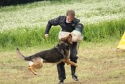 kliknutím zvětšit fotografii fotky ZKO