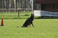 kliknutím zvětšit fotografii fotky ZKO