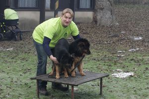 kliknutím zvětšit fotografii fotky ZKO