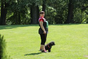 kliknutím zvětšit fotografii fotky ZKO