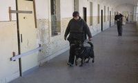 kliknutím zvětšit fotografii fotky ZKO