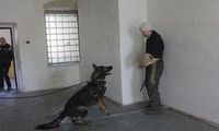 kliknutím zvětšit fotografii fotky ZKO
