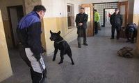 kliknutím zvětšit fotografii fotky ZKO