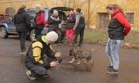 kliknutím zvětšit fotografii fotky ZKO