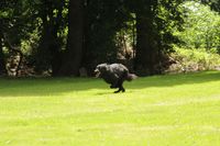 kliknutím zvětšit fotografii fotky ZKO