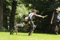 kliknutím zvětšit fotografii fotky ZKO