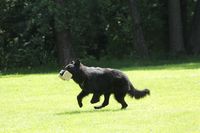 kliknutím zvětšit fotografii fotky ZKO