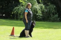 kliknutím zvětšit fotografii fotky ZKO