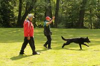 kliknutím zvětšit fotografii fotky ZKO